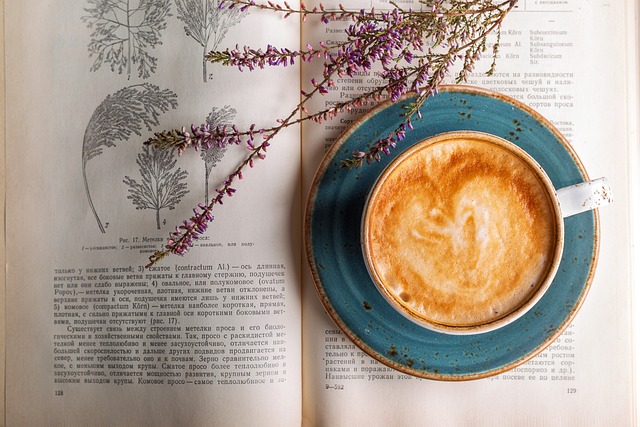 Van boon tot mok: de veelzijdige wereld van koffie door de eeuwen, culturen, ecologie en gezondheid heen